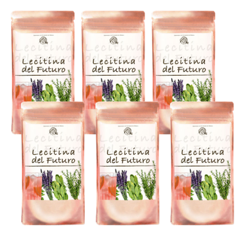 Cinco bolsas de Lecitina del Futuro (100g c/u) + Uno Gratis
