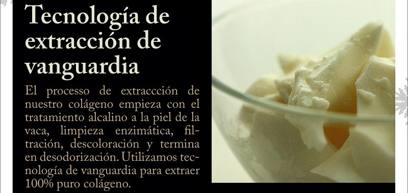 El processo de extraccción de nuestro colágeno empieza con el tratamiento alcalino a la piel del cerdo, limpieza enzimático, filtración, decoloración y termina en desodorización. Utilizamos tecnología especial para extraer 100% puro colágeno. Es un colágeno de calidad suprema sin ningún olor, color o sabor de origen animal.